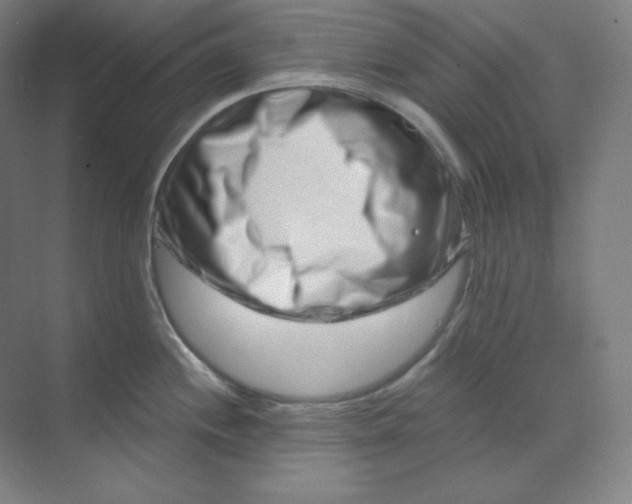 X0000070181244200606091458