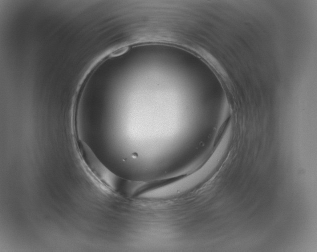 X0000070181246200606091458