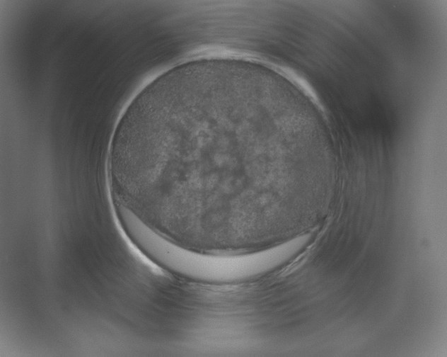 X0000070181247200606091458