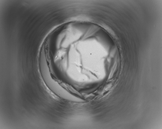 X0000070181248200606091458