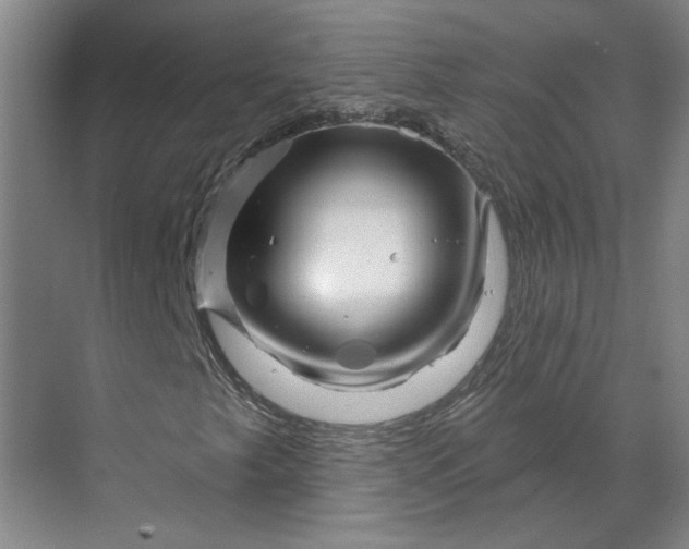 X0000070181249200606091457