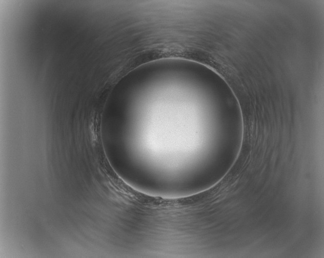 X0000070181250200606091457