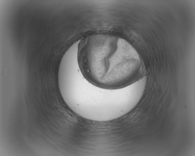 X0000070181252200606091457