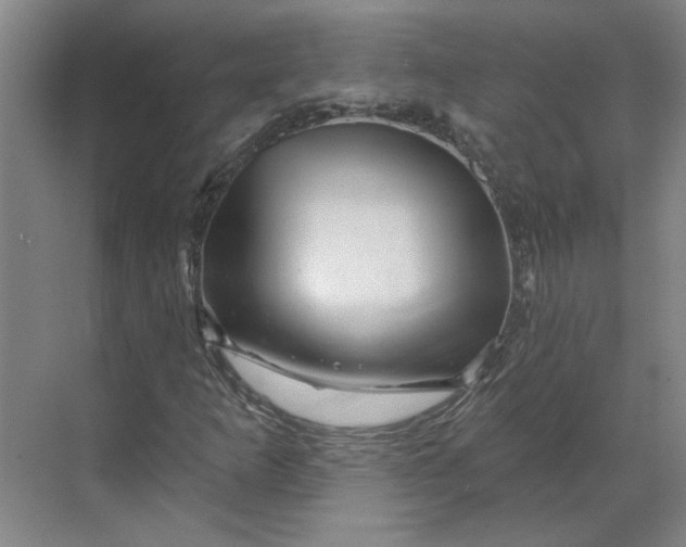 X0000070181253200606091457