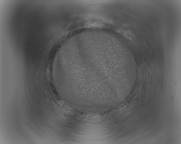 X0000070181254200606091457