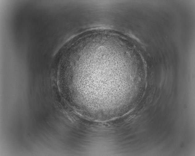 X0000070181255200606091457