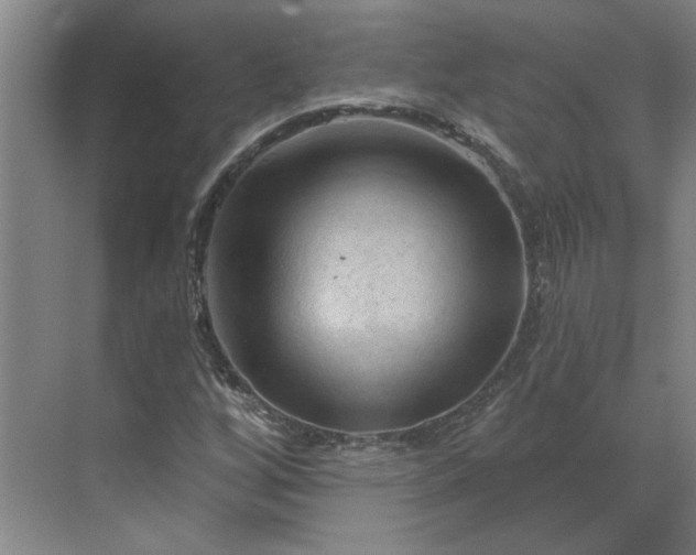 X0000070181256200606091457