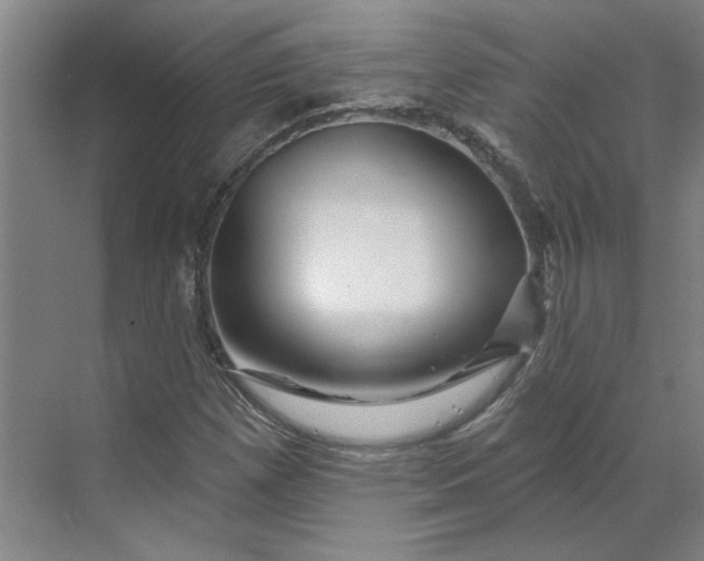 X0000070181257200606091457