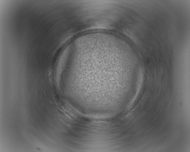 X0000070181258200606091457