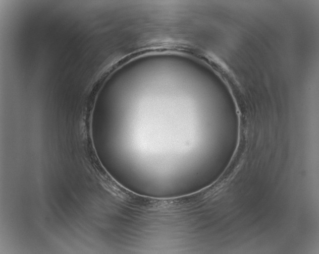 X0000070181259200606091457