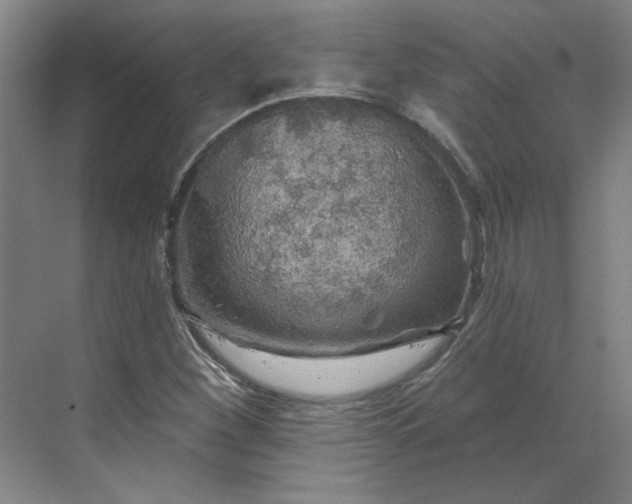 X0000070181260200606091457