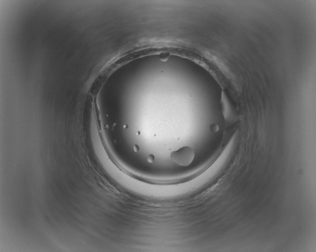 X0000070181261200606091457