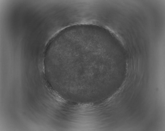 X0000070181262200606091457