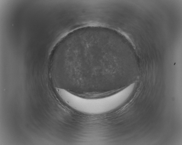 X0000070181263200606091457