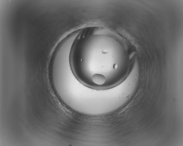 X0000070181264200606091457