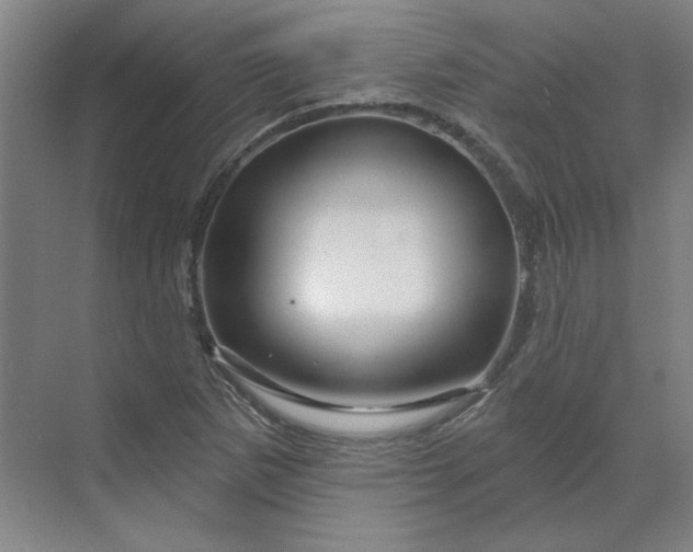 X0000070181265200606091457