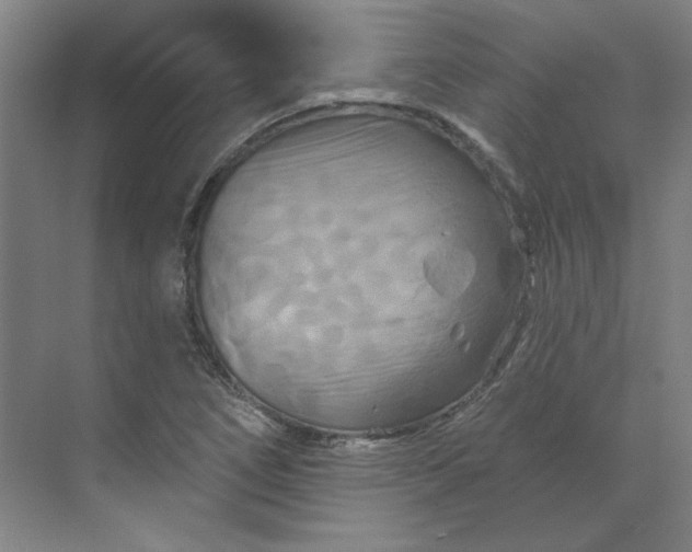 X0000070181266200606091457