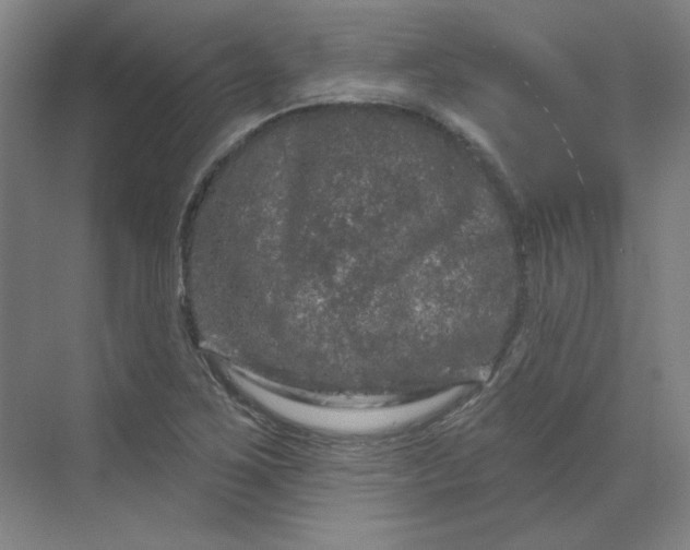 X0000070181267200606091457