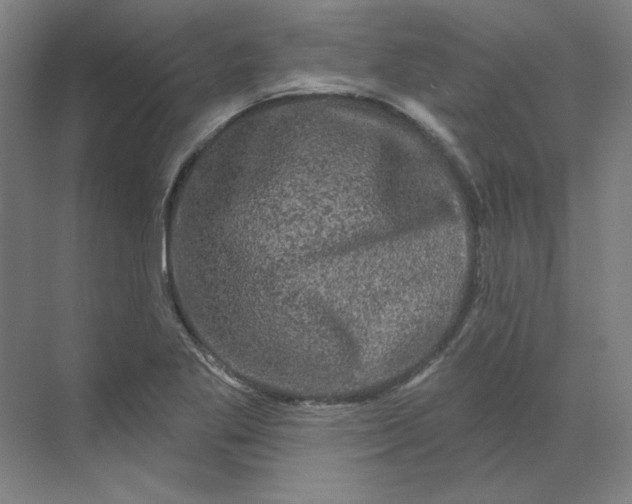 X0000070181269200606091457