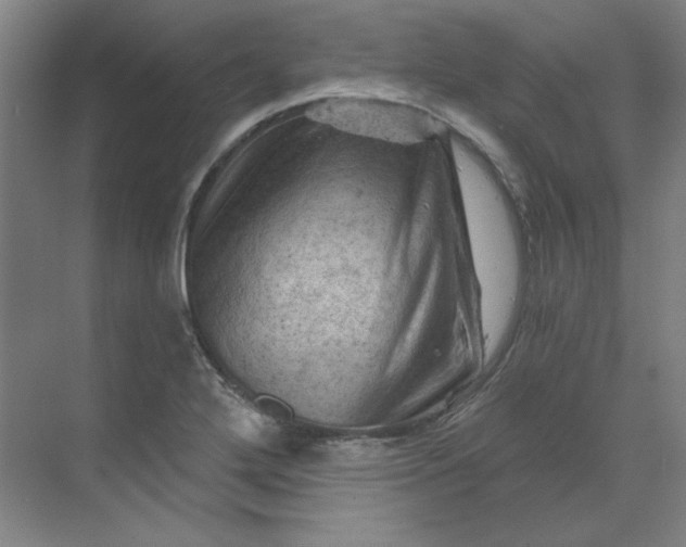 X0000070181272200606091457