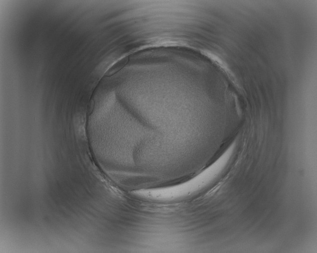 X0000070181273200606091457