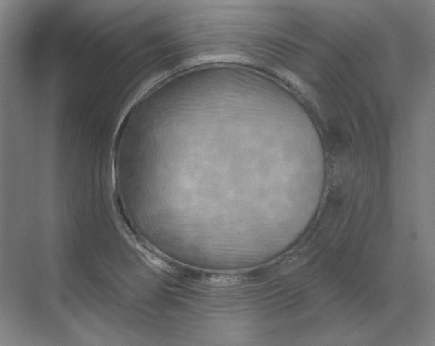 X0000070181274200606091457