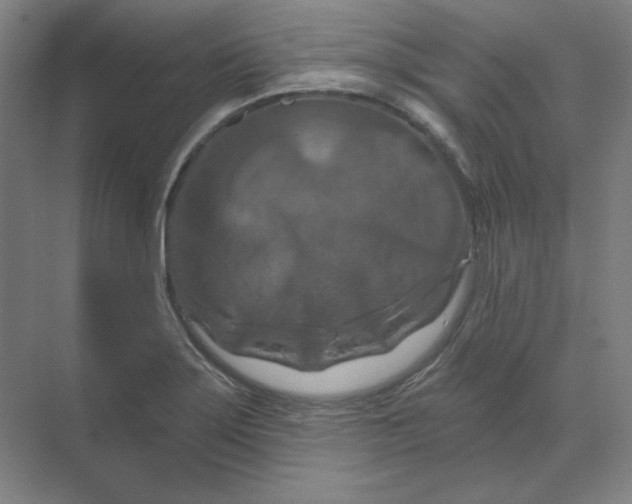 X0000070181275200606091457