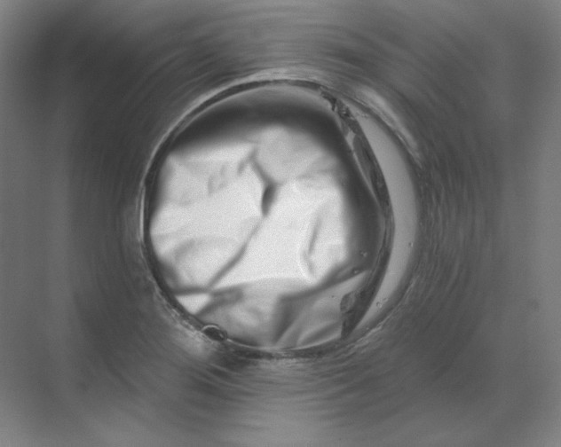 X0000070181276200606091457