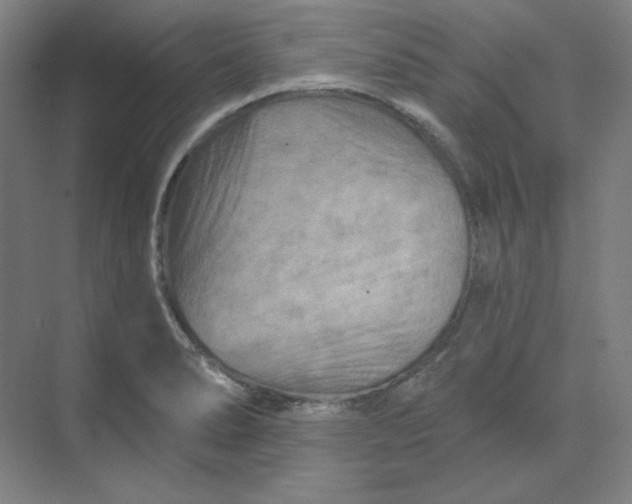 X0000070181278200606091457