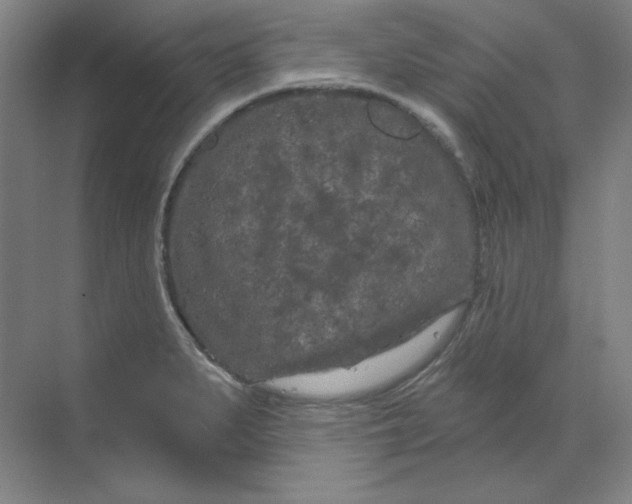 X0000070181279200606091457