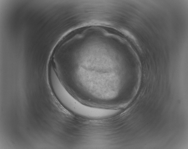 X0000070181280200606091457