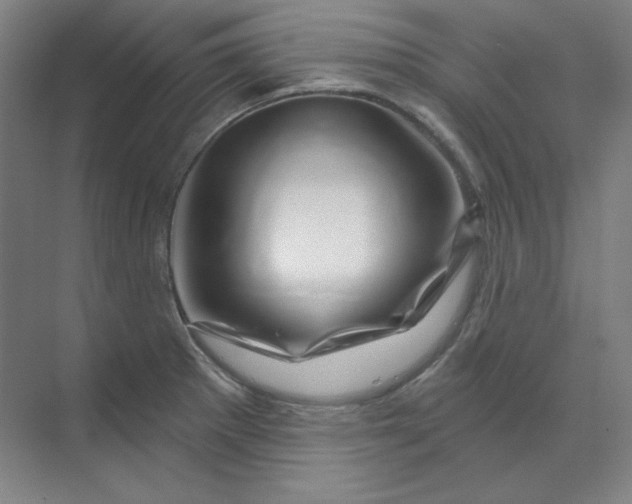 X0000070181281200606091457