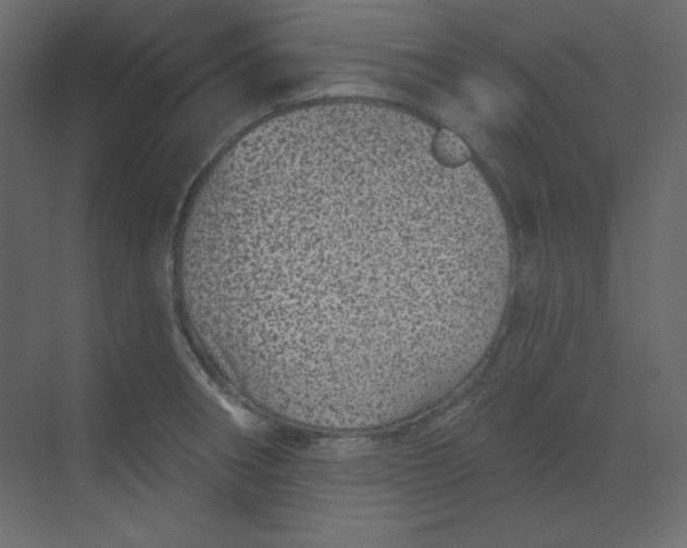 X0000070181282200606091457