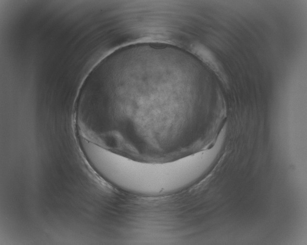 X0000070181284200606091457