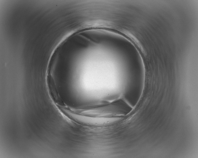 X0000070181285200606091457