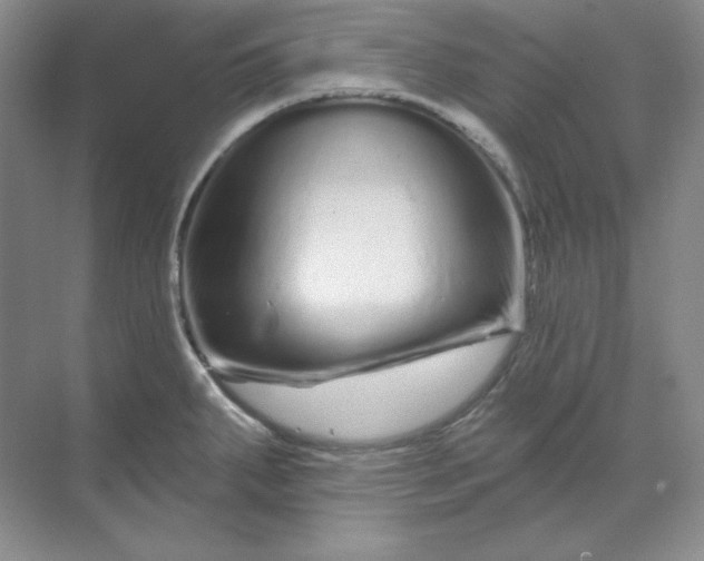 X0000070181287200606091457