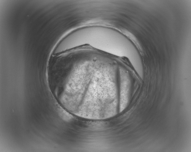 X0000070181288200606091457