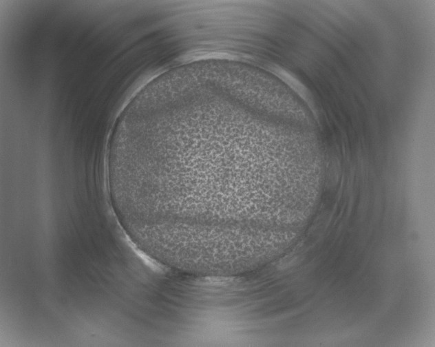 X0000070181290200606091457