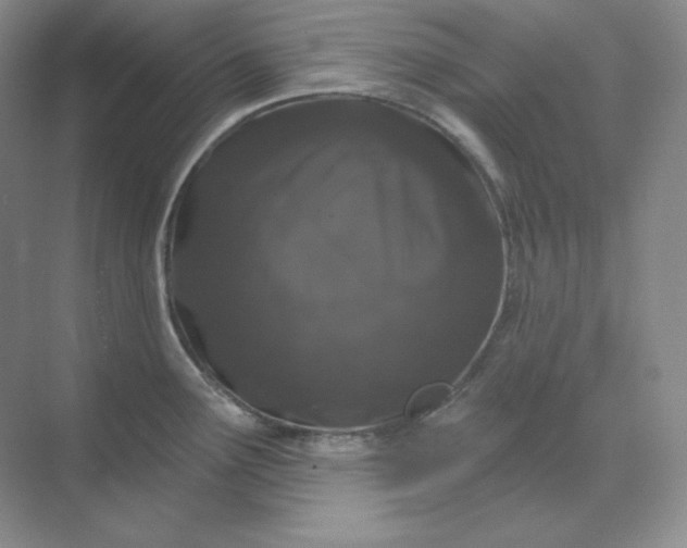 X0000070181291200606091457