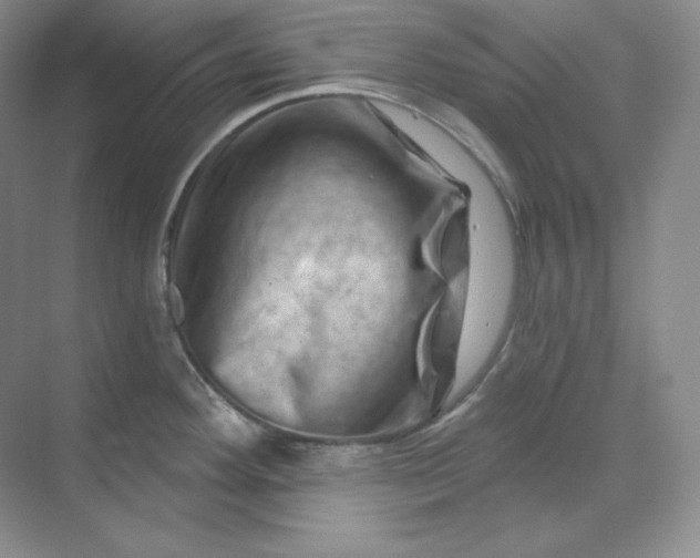 X0000070181292200606091457