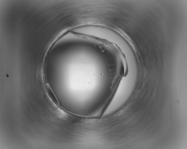 X0000070181293200606091457