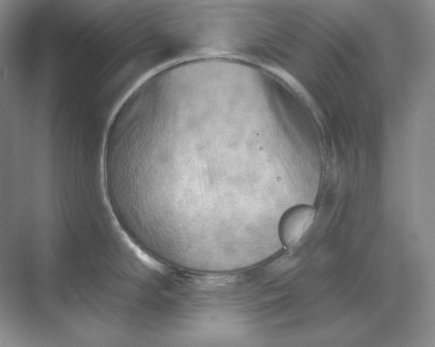 X0000070181294200606091457