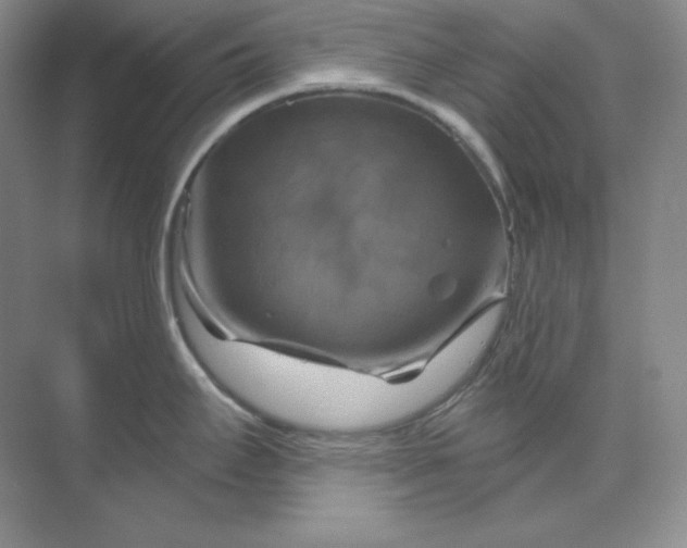 X0000070181295200606091457