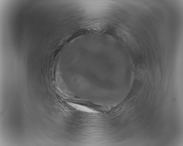 X0000070181297200606091456