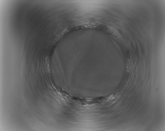 X0000070181298200606091456