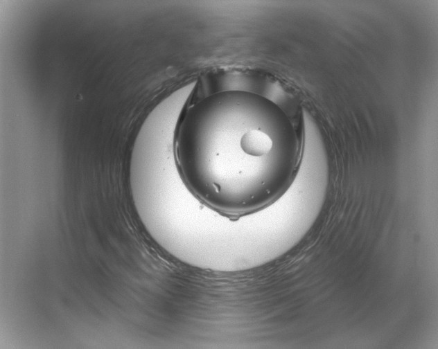 X0000070181300200606091456