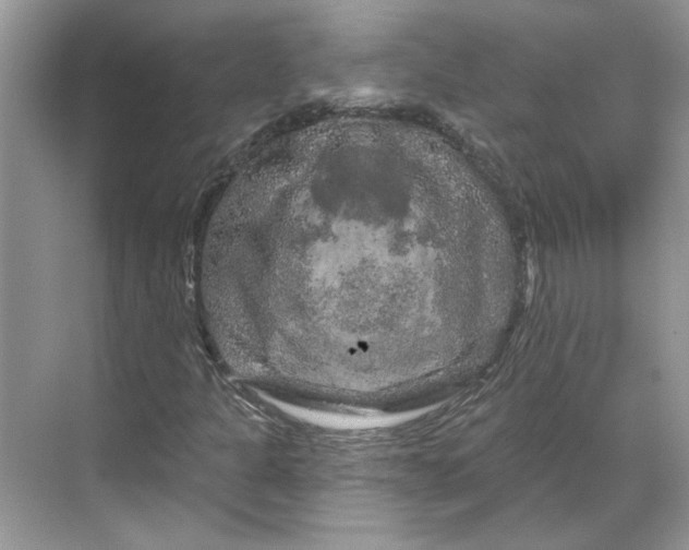 X0000070181301200606091456