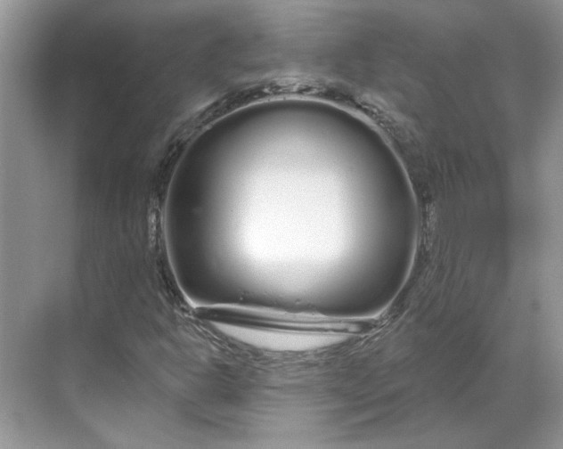 X0000070181302200606091456