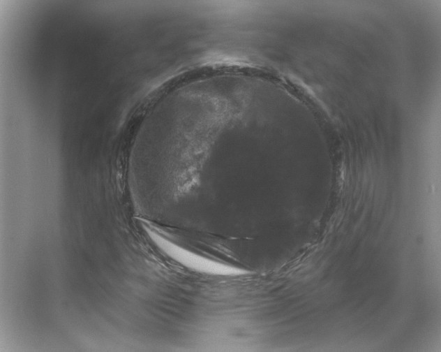 X0000070181303200606091456