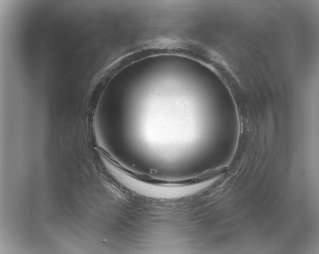 X0000070181304200606091456